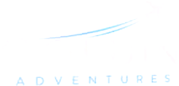Goldin Adventures